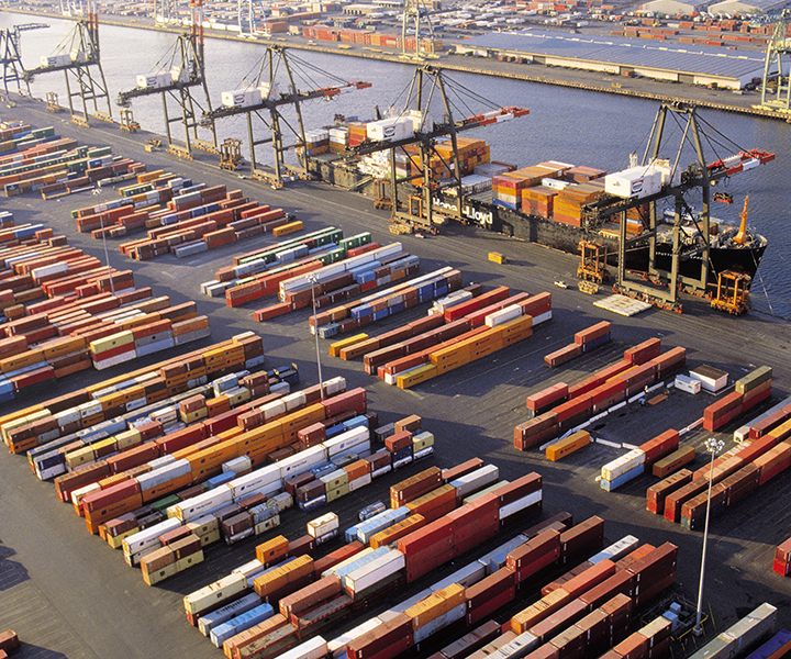 Supply Chain